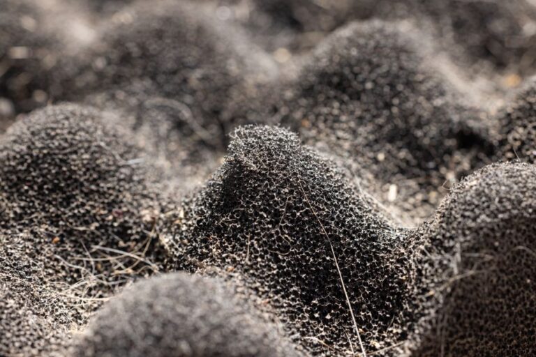 Detailed close-up of a dark, textured synthetic sponge surface showcasing intricate patterns.