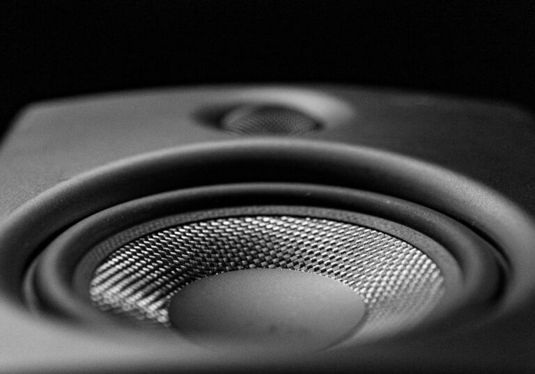 A detailed black-and-white close-up image of a speaker, highlighting its intricate design.